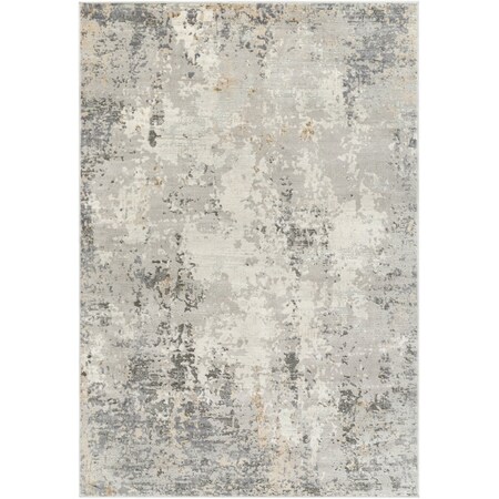 Livabliss Alamo ALO-2304 Machine Crafted Area Rug ALO2304-71010